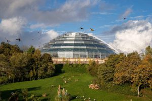 Dome zoo de Beauval