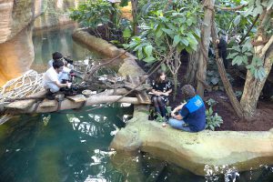 Reportage Zoo de Beauval M6 Zone interdite dome tropical