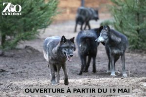 quand vont reouvrir les zoo en france en mai 2021 ou en juin : 19 mai !