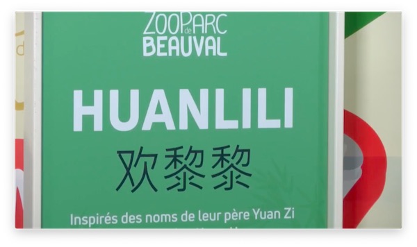 huanlili nom jumelle panda zoo beauval 2022