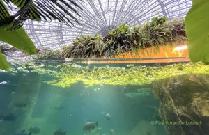 Aquarium dans le dôme equatorial du Zoo de Beauval