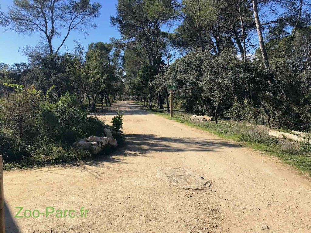 sentier dans le parc zoologique de Montpellier pour aller aux enclos