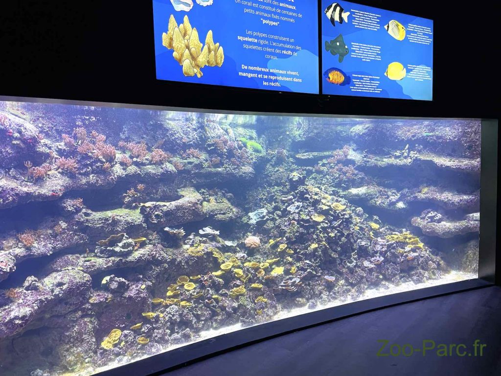 poissons exotiques à l'aquarium de paris
