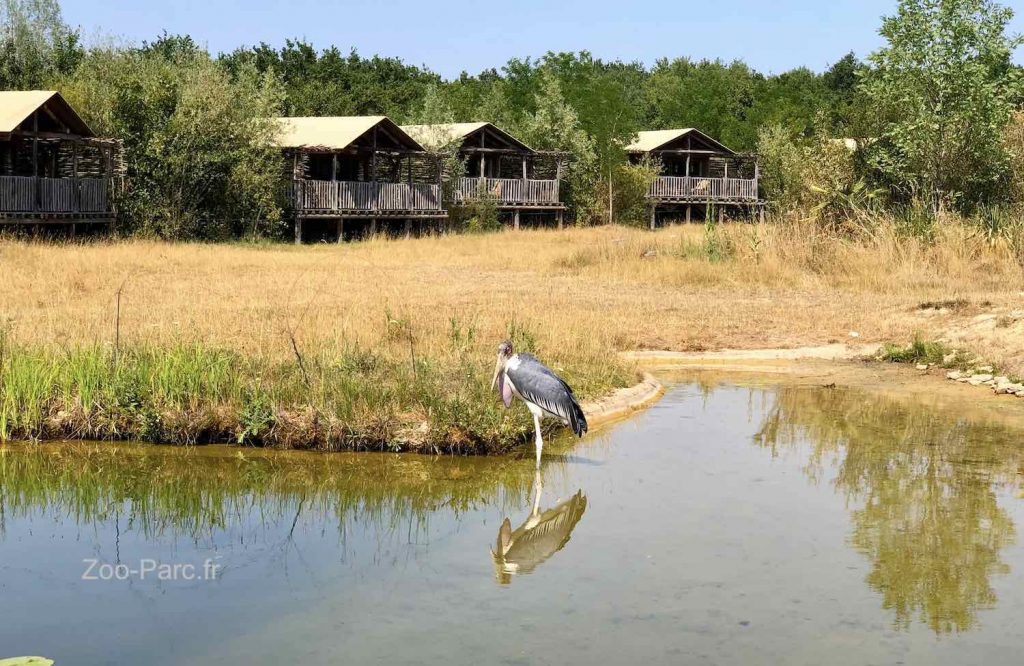 Lodges Le Pal et savane africaine