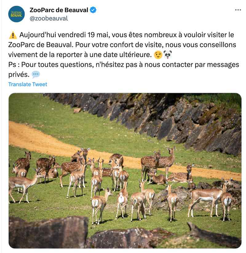 connaitre la fréquentation et l'affluence au Zoo d eBeauval avec calendrier prévisionnel