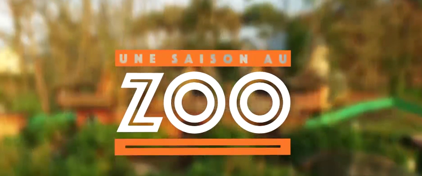 Ou revoir "Une saison au Zoo" en replay ?Guide Zoos Zoo-Parc.fr