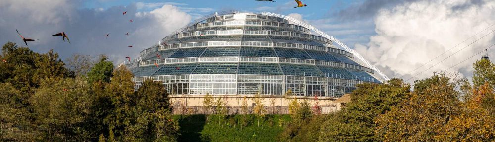 Dome zoo de Beauval