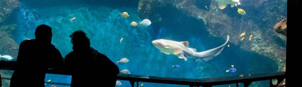 Aquarium de Lyon : tarif, promo, info, adresse, acces