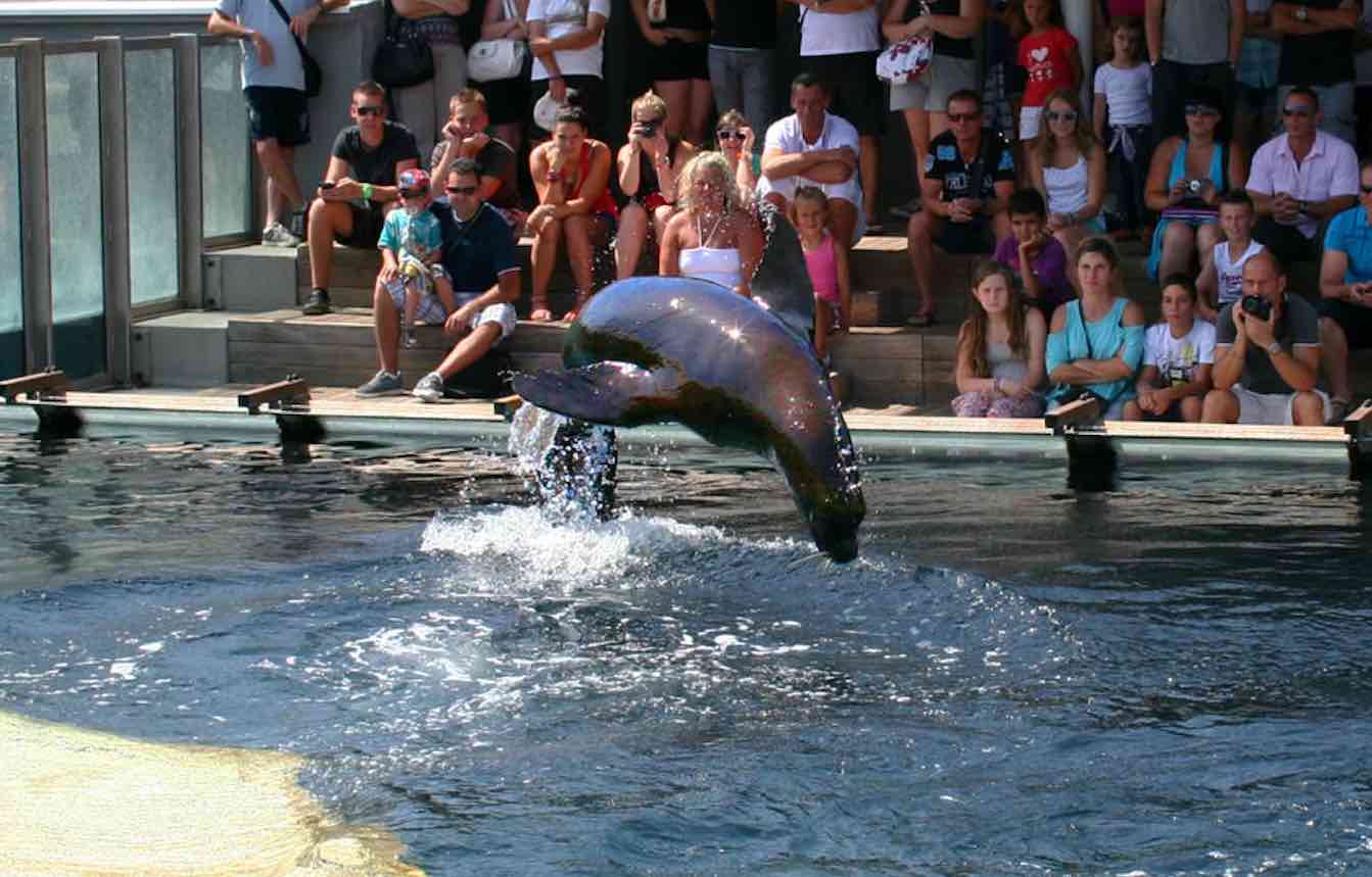 Seaquarium du Grau du Roi guide tarif, adresse, date et horaire d'ouverture, promo, etc. Seaquarium du Grau du Roi guide tarif, adresse, date et horaire d'ouverture, promo, etc.