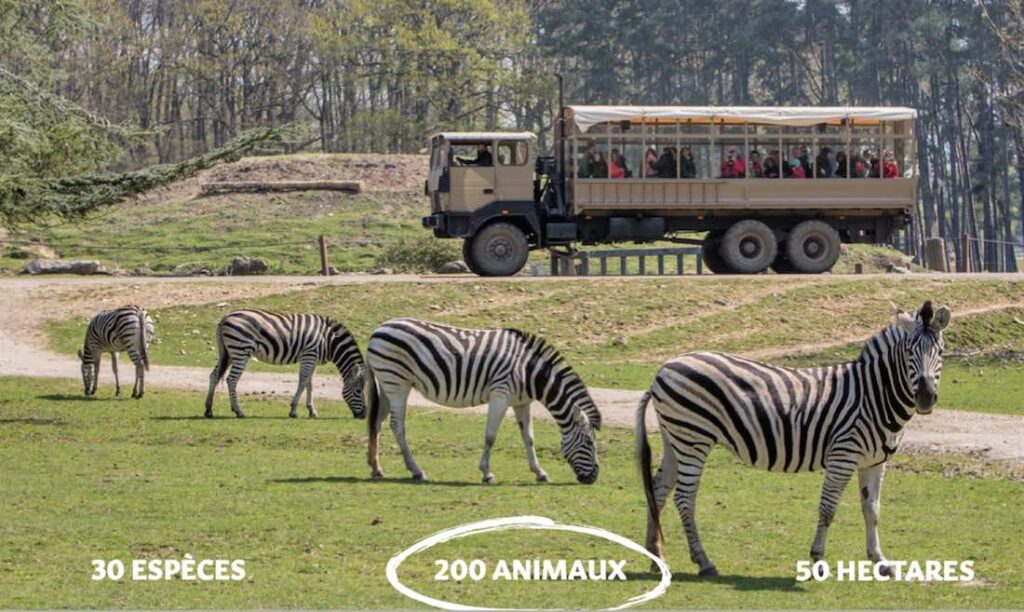 animaux safari zoo Thoiry
