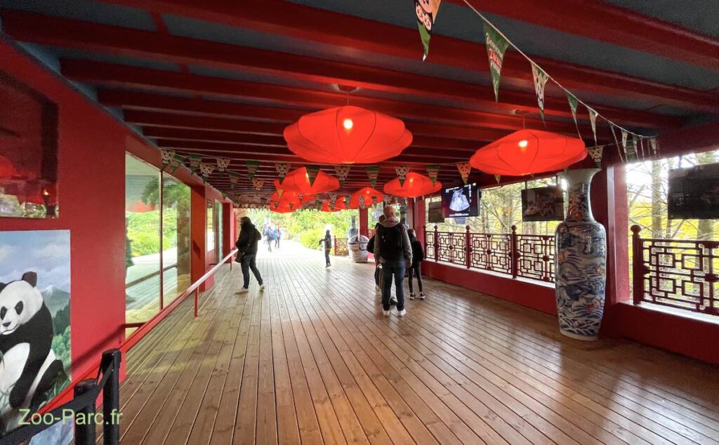 galerie des pandas au zoo de Beauval