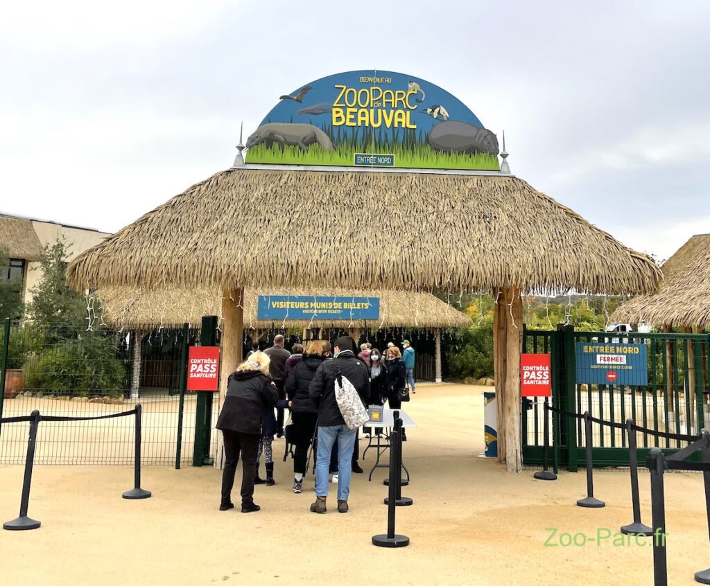 Panda à Beauval en 2025 comment et o les voir au zoo ?Guide Zoos ZooParc.fr