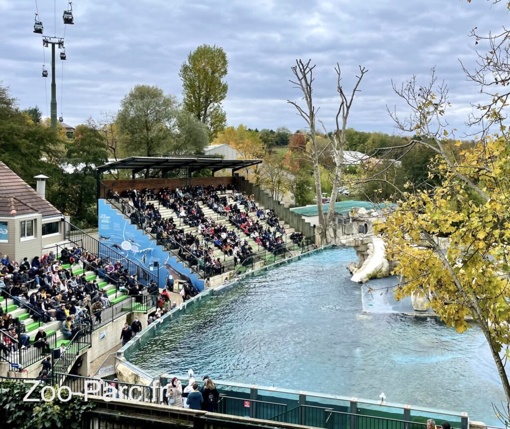 ou se placer pour le spectacle des otaries au zoo de Beauval