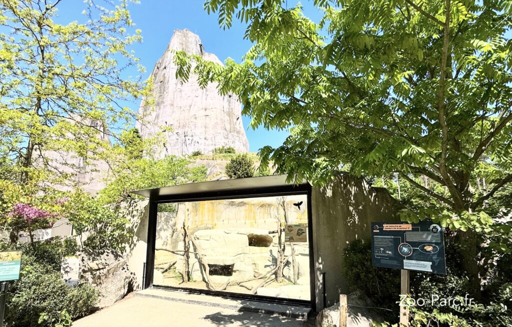 calendrier d'affluence et fréquentation au Zoo de Paris Vincennes