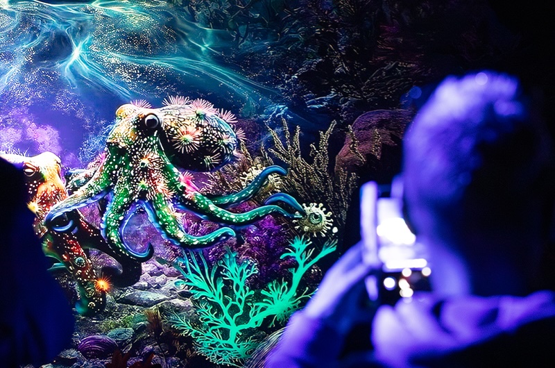 photo Monstrozoo à Beauval