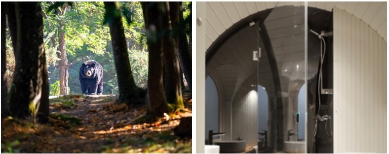 ou dormir zoo de thoiry