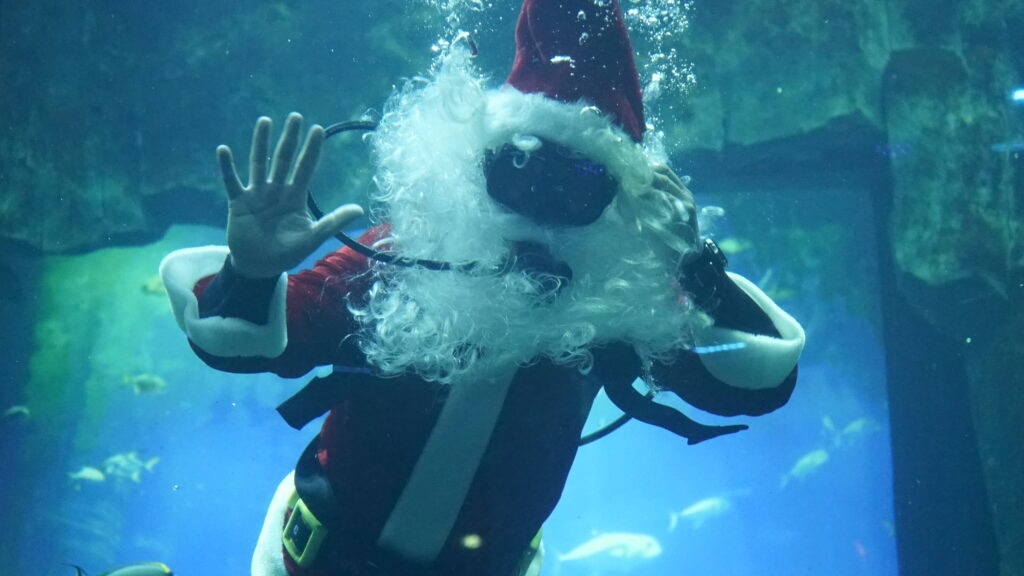 pere noel ploguer aquarium de paris fete noel