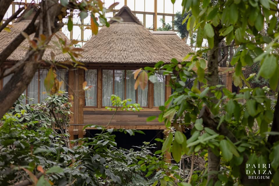 logement chambre d'hotel à Edenya