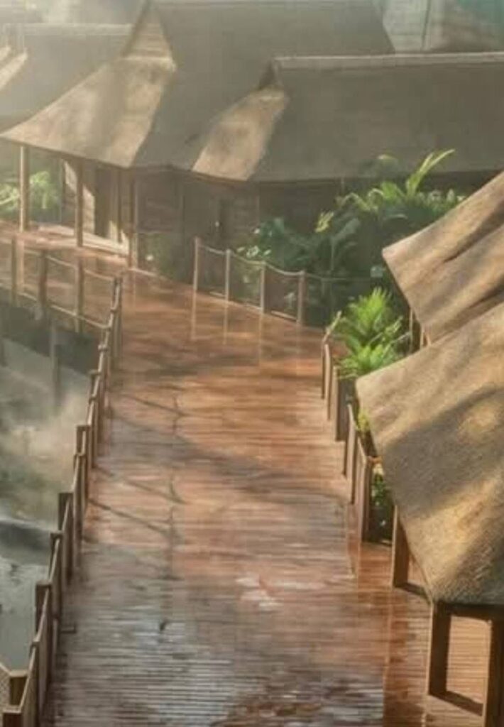 hotel pairi daiza edenya serre tropical zoo belgique