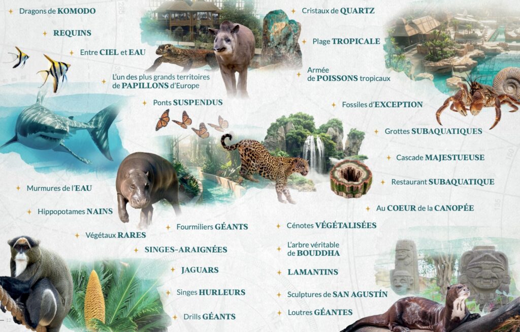 a voir à edenya pairi daiza