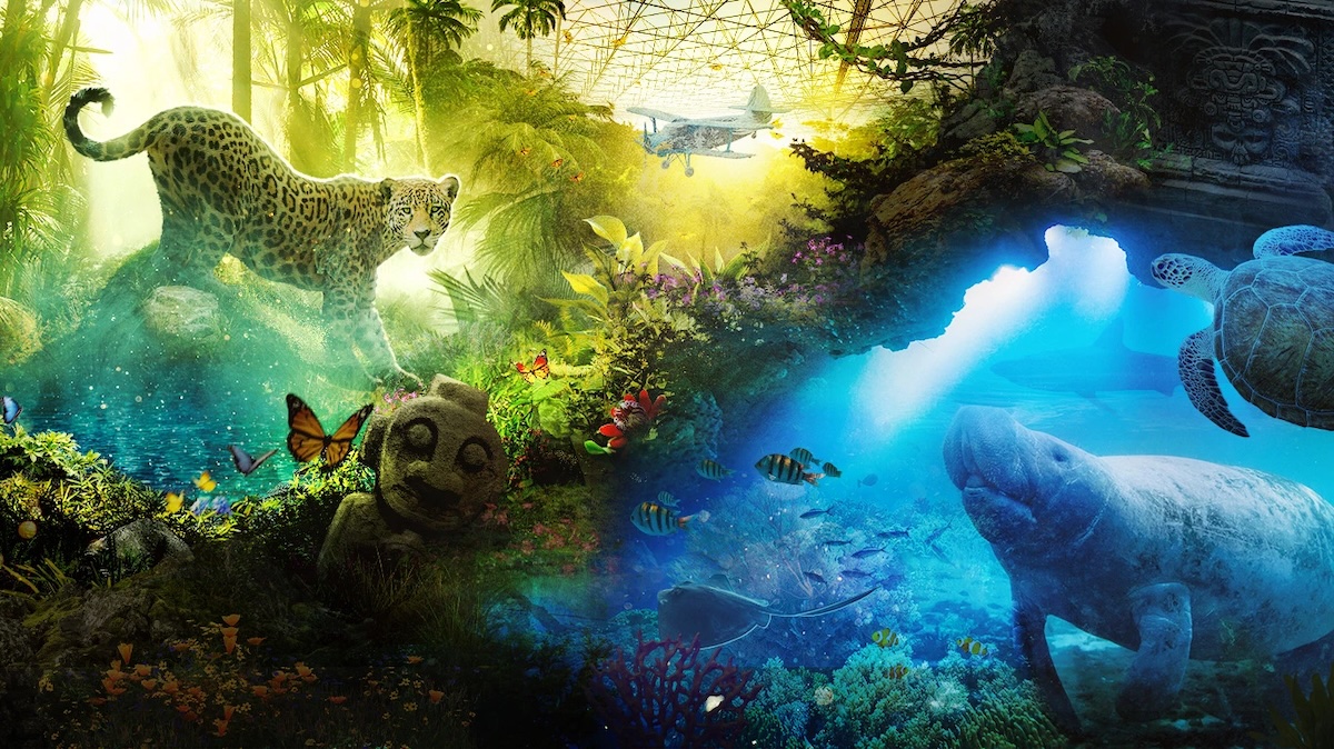 Edenya, la plus grande serre tropicale au monde ouvre à Pairi Daiza !