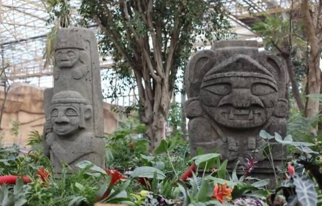 ambiance edenya photos