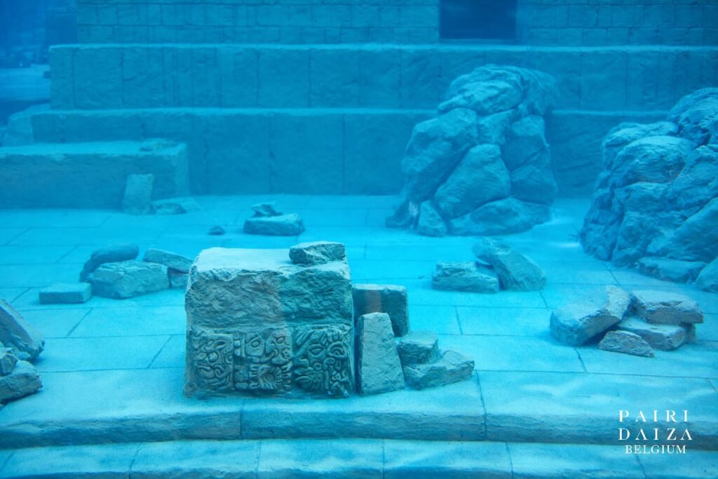 aquarium sous marin Edenya Pairi Daiza