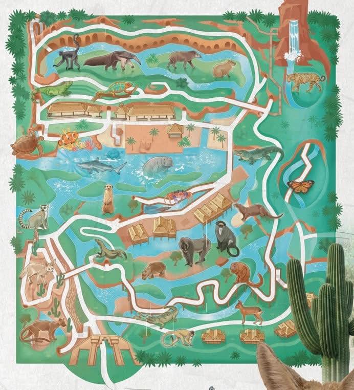 Plan Serre Tropicale Pairi Daiza Edenya