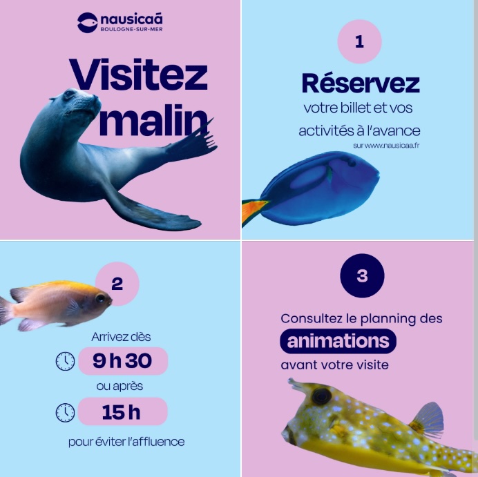 conseil visite Nausicaa jour de forte affluence pour réussir sa visite
