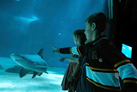 programme de visite aquarium nausicaa boulgne sur mer