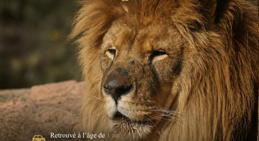 Le Zoo de Fréjus désormais fermé ! Définitivement ?